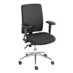 Ergonomische bureaustoel NPR-1813 - Lavis Vidar NPR