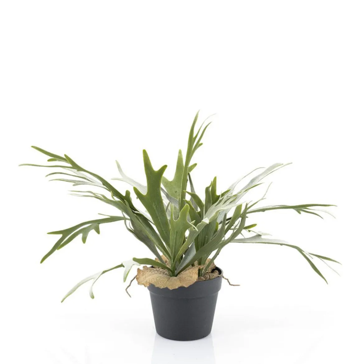 Kunstplant staghorn varen 51 cm - By-Boo Staghorn Fern
