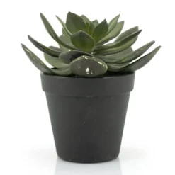 Kunst vetplant met pot 16,5 cm - By-Boo Succulent Echeveria 2
