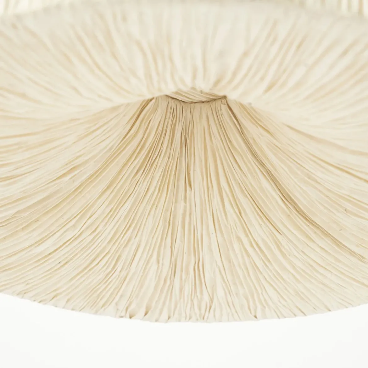 Ronde hanglamp 43,5 cm - By-Boo Lokta 1